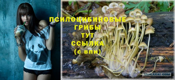 стаф Алексеевка