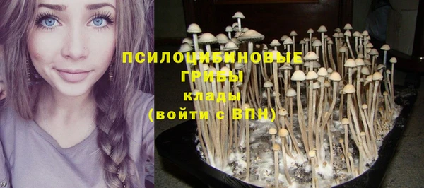 мяу мяу мука Алексин