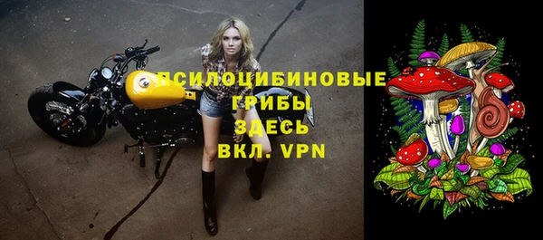 стаф Алексеевка