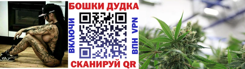 Шишки марихуана Amnesia  hydra ССЫЛКА  Белореченск 